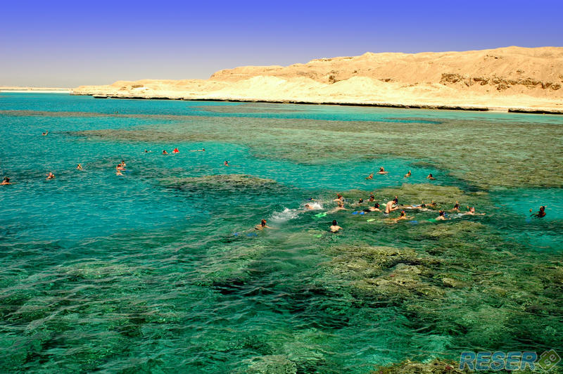 Snorkling i Egypten