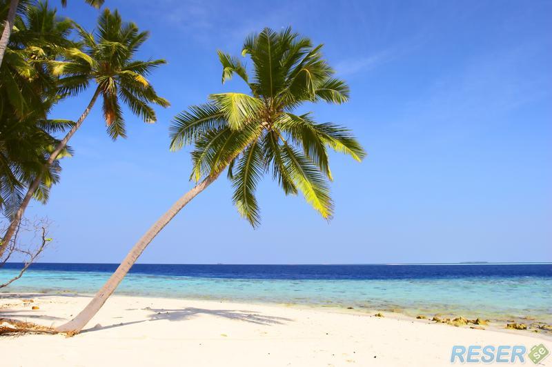 Härligt strand i Maldiverna