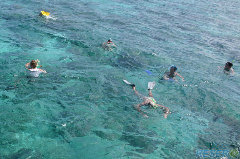 Snorklar i Maldiverna