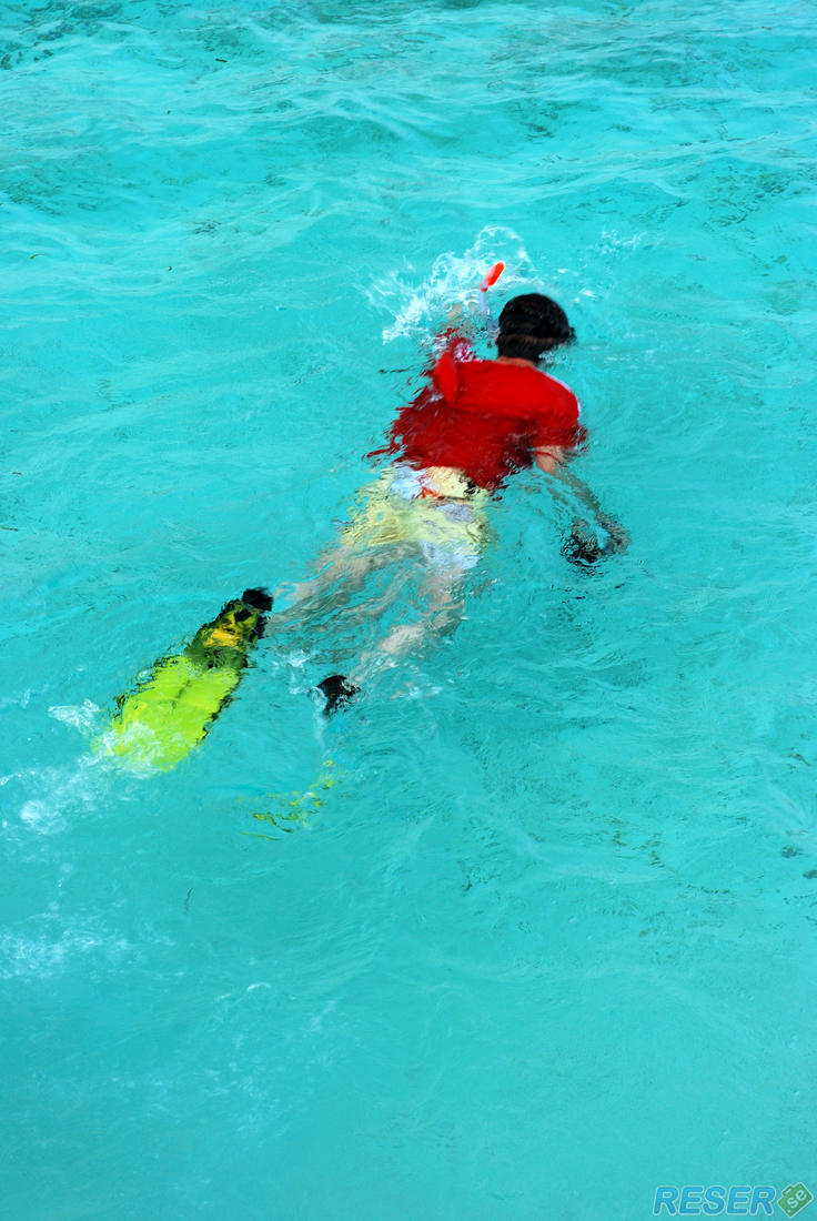 Snorkling i Maldiverna