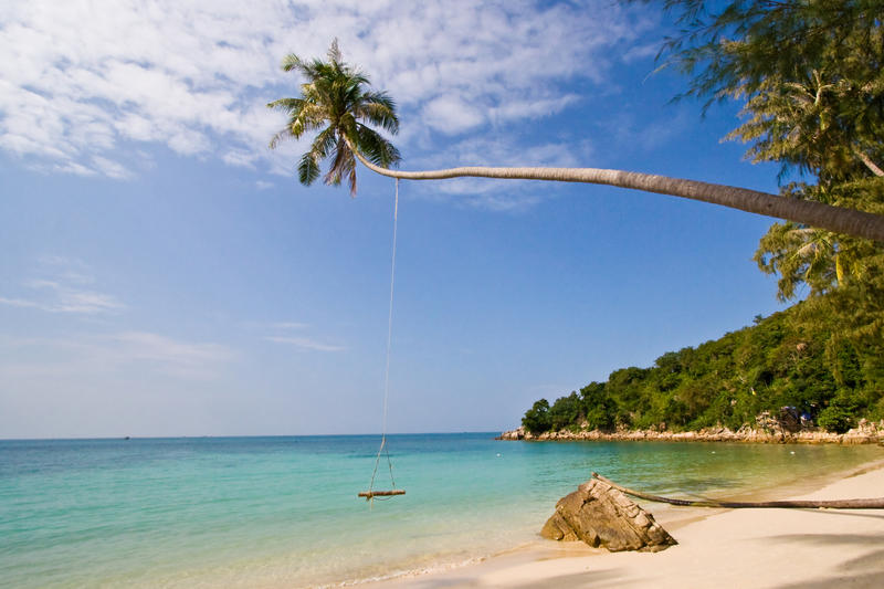 Gunga på palm vid stranden på Koh Phangan