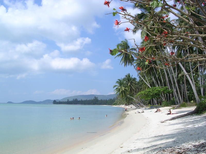 Härlig strand med kokosnötsträd på Samui