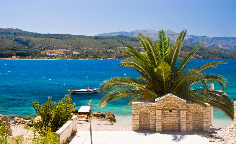 Palmträd med havet som bakgrund på Samos