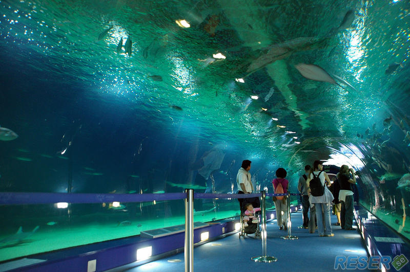 Undervattenstunnel, L'Oceanographic Science Centre