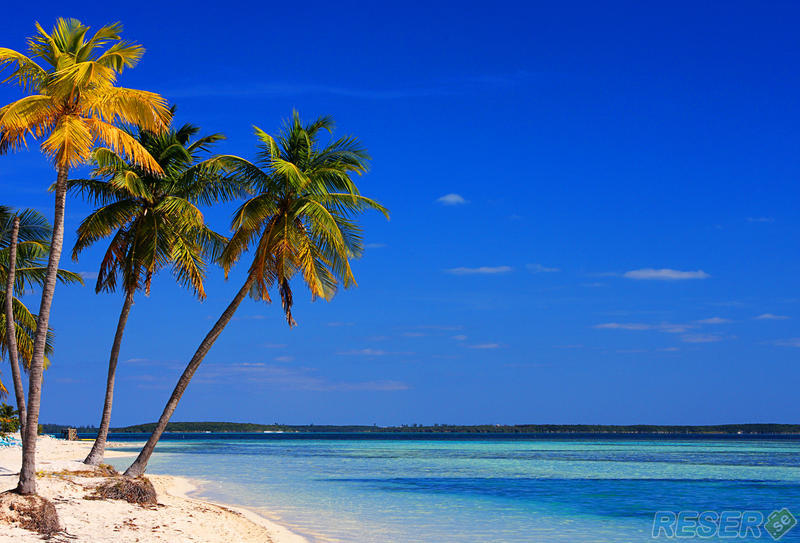 Stranden på Coco Cay Island