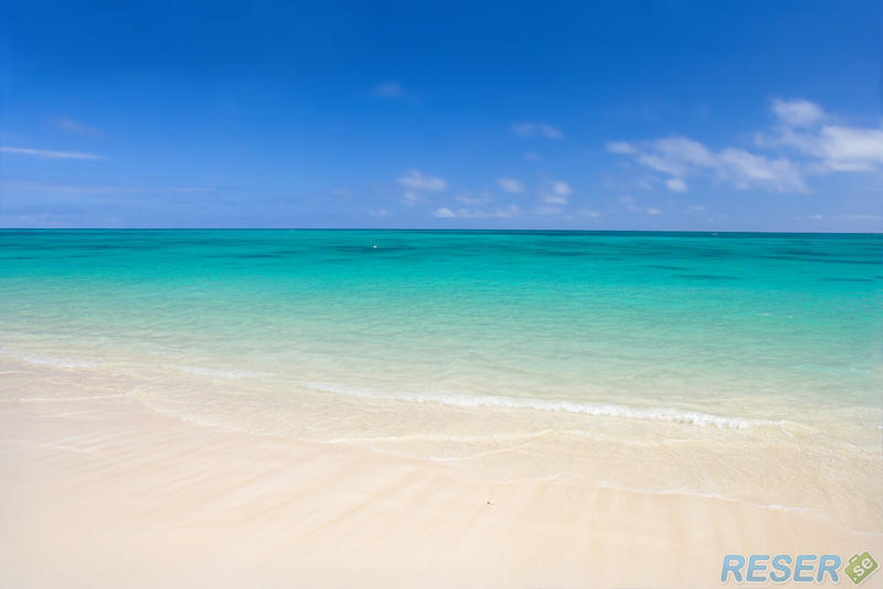 Klar och tropsik strand på Hawaii